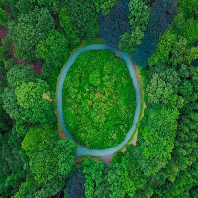 環(huán)境保護(hù)